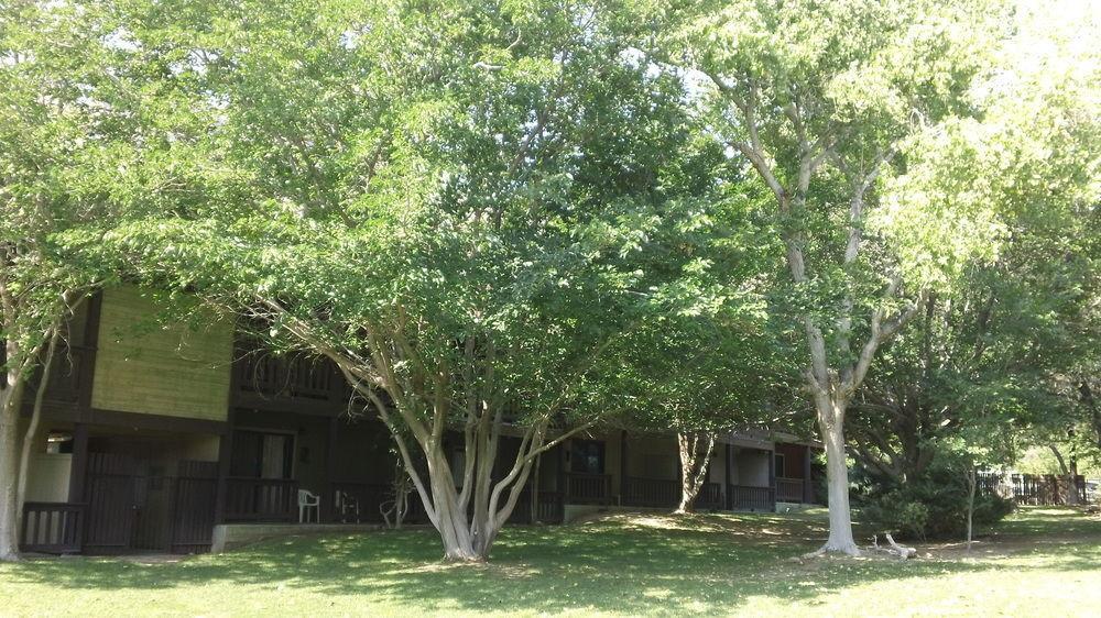 Bonnie Springs Ranch Motel Blue Diamond Exterior photo